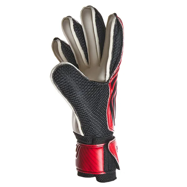 Перчатки врат. TORRES Junior Super (Max) за 1&nbsp;609.90 ₽ в Брянске