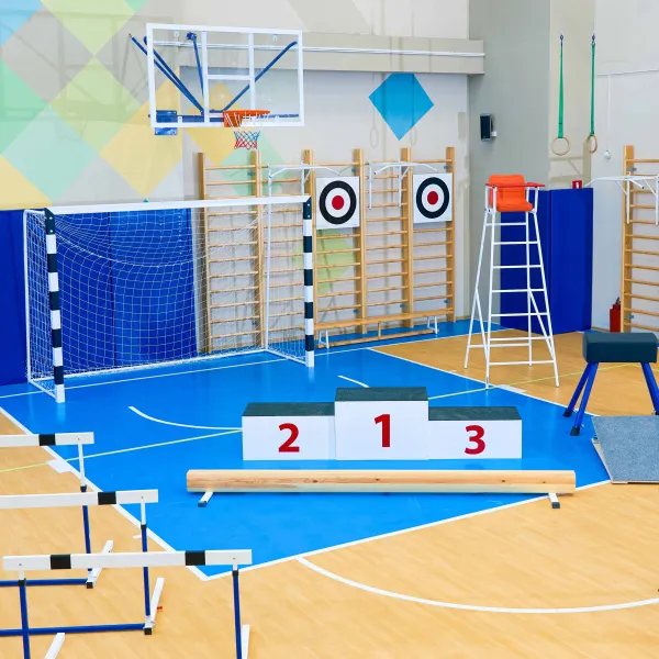 Щит для метания навесной на шведскую стенку (фанера) 700х700 ZAVODSPORTA за 8&nbsp;960 ₽ в Брянске