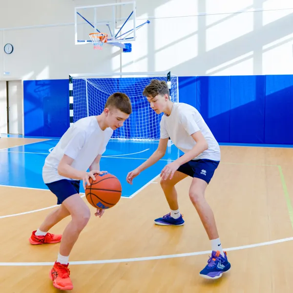 Щит баскетбольный игровой (монолитный поликарбонат) 1050х1800 мм ZAVODSPORTA за 47&nbsp;600 ₽ в Брянске